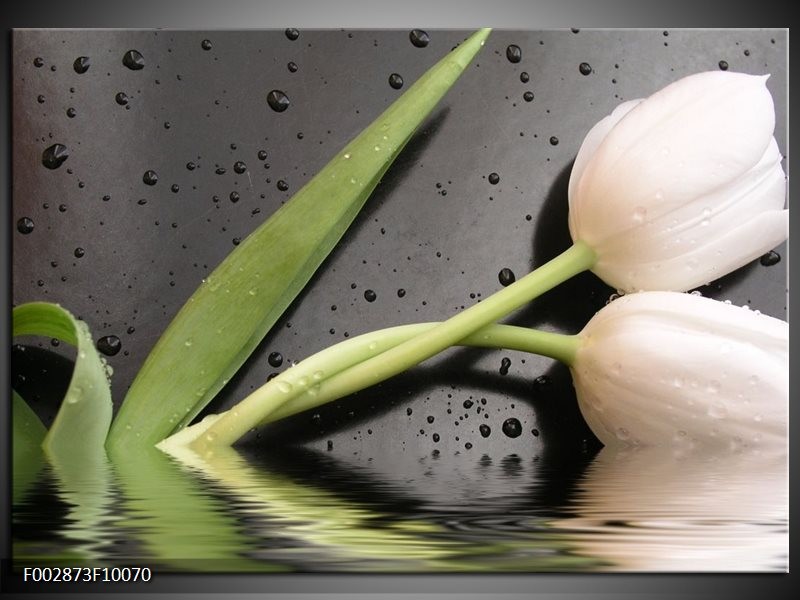Foto canvas schilderij Tulpen | Wit, Groen, Grijs