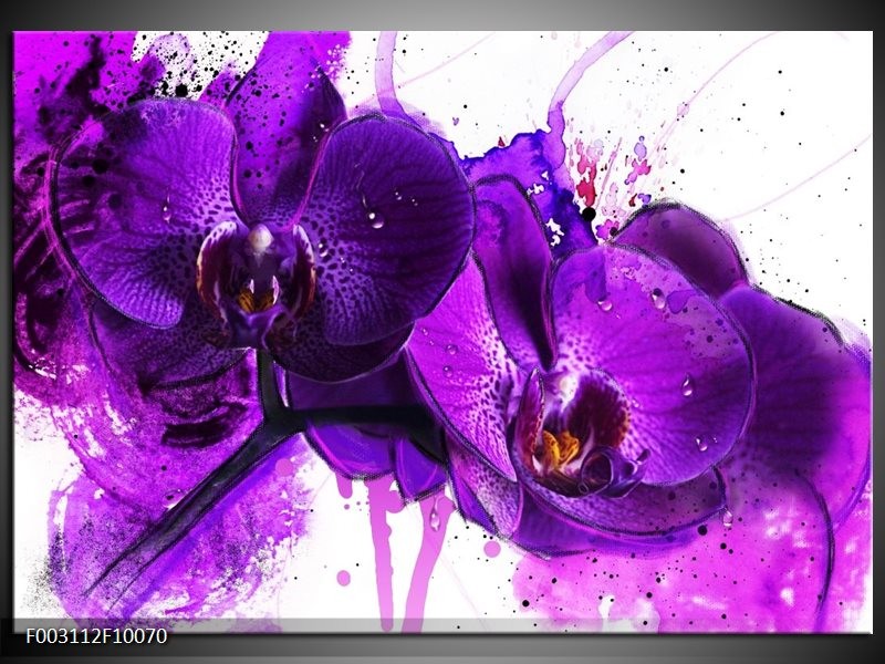 Glas schilderij Orchidee | Paars, Wit, Zwart