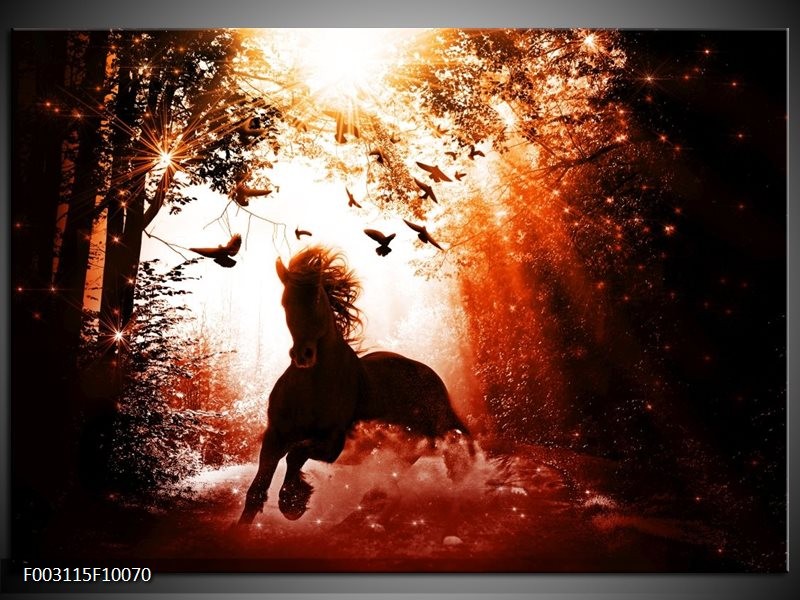 Foto canvas schilderij Paard | Rood, Zwart, Wit