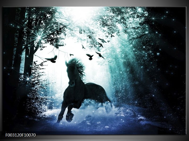 Foto canvas schilderij Paard | Blauw, Zwart, Wit