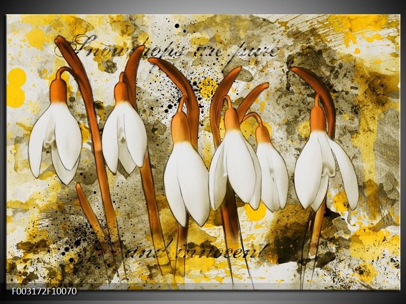 Foto canvas schilderij Bloem | Wit, Bruin, Geel