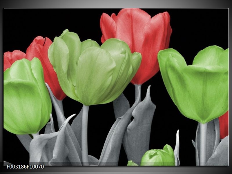 Glas schilderij Tulpen | Groen, Grijs, Rood