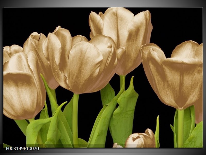 Glas schilderij Tulpen | Goud, Groen, Zwart