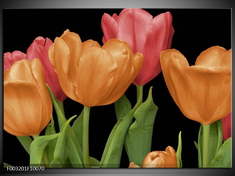 Glas schilderij Tulpen | Oranje, Rood, Groen