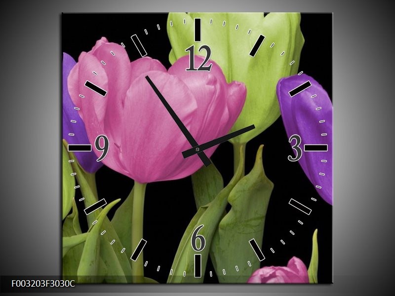 Wandklok op Canvas Tulpen | Kleur: Paars, Groen, Roze | F003203C