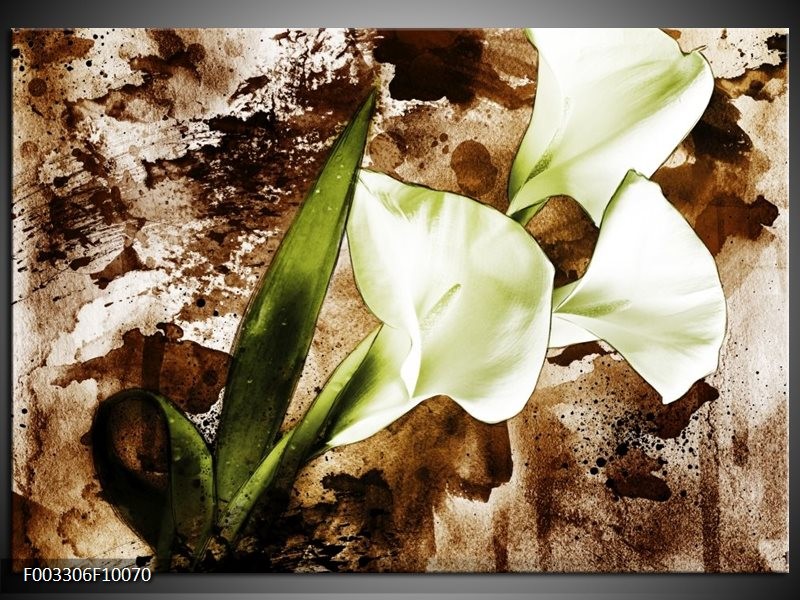 Foto canvas schilderij Bloem | Bruin, Wit, Groen