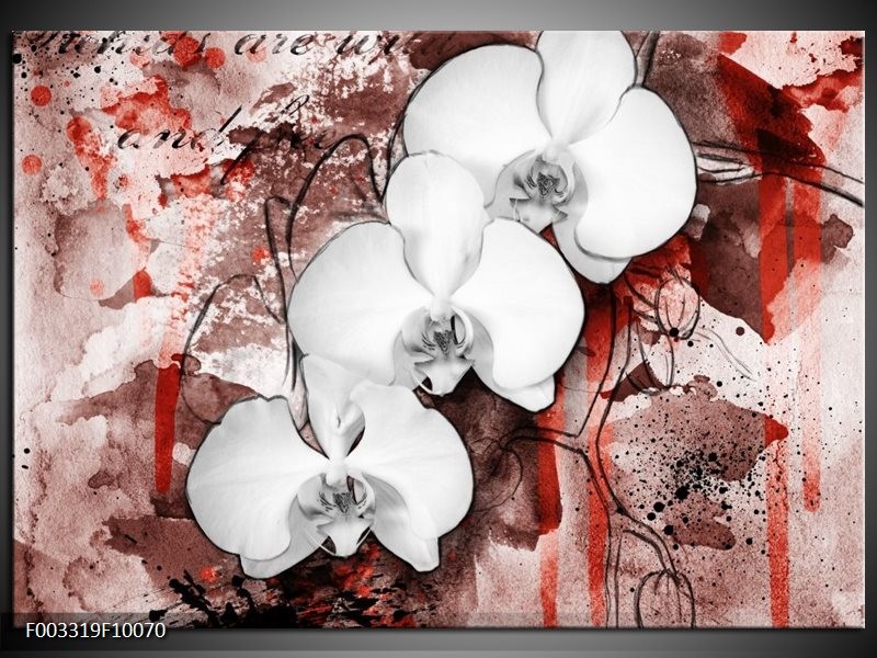 Glas schilderij Orchidee | Wit, Rood