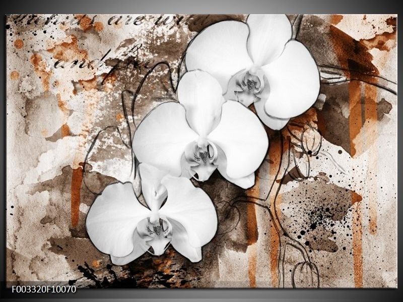 Glas schilderij Orchidee | Wit, Bruin