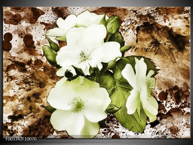 Foto canvas schilderij Bloem | Bruin, Groen, Zwart