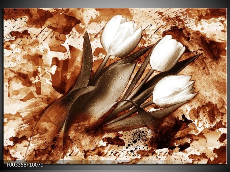 Glas schilderij Tulpen | Bruin, Wit