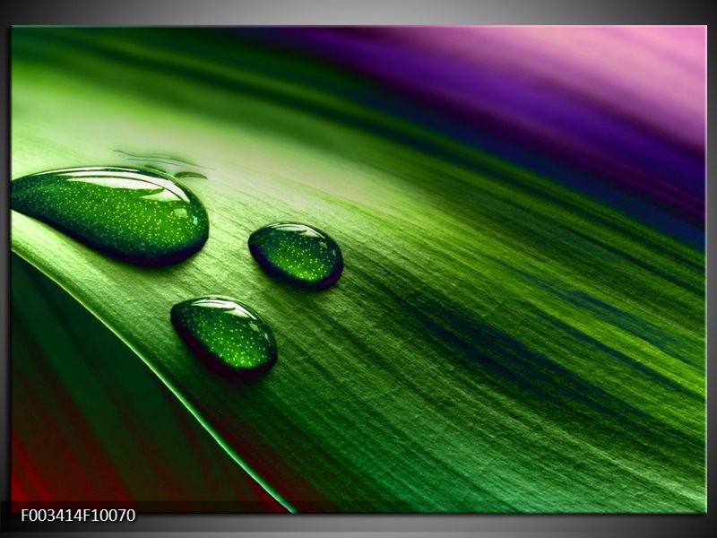 Foto canvas schilderij Druppel | Groen, Wit, Paars