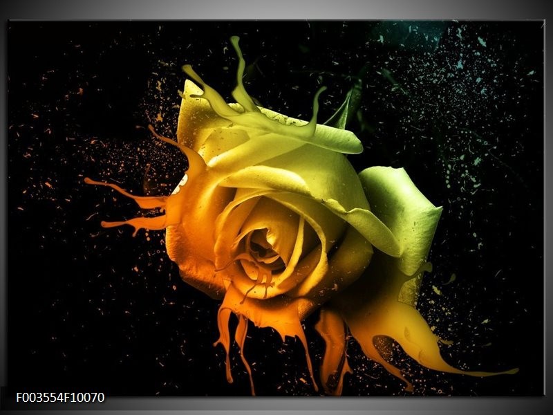 Glas schilderij Roos | Oranje, Geel, Groen