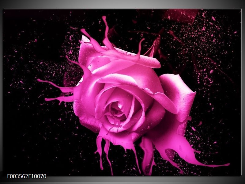 Glas schilderij Roos | Roze, Zwart