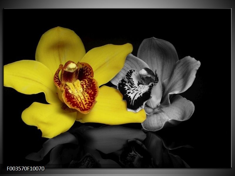 Glas schilderij Orchidee | Geel, Grijs, Zwart