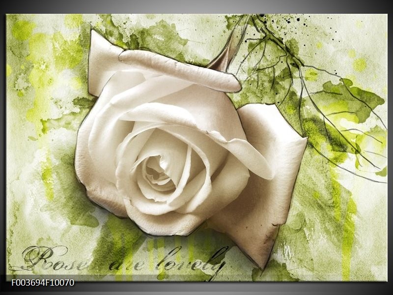 Foto canvas schilderij Roos | Groen, Wit