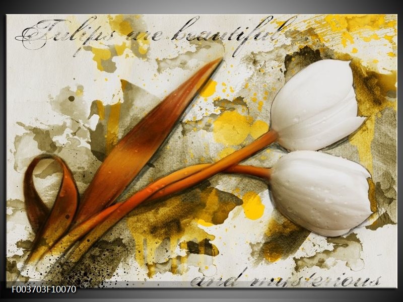 Foto canvas schilderij Tulp | Wit, Bruin, Geel