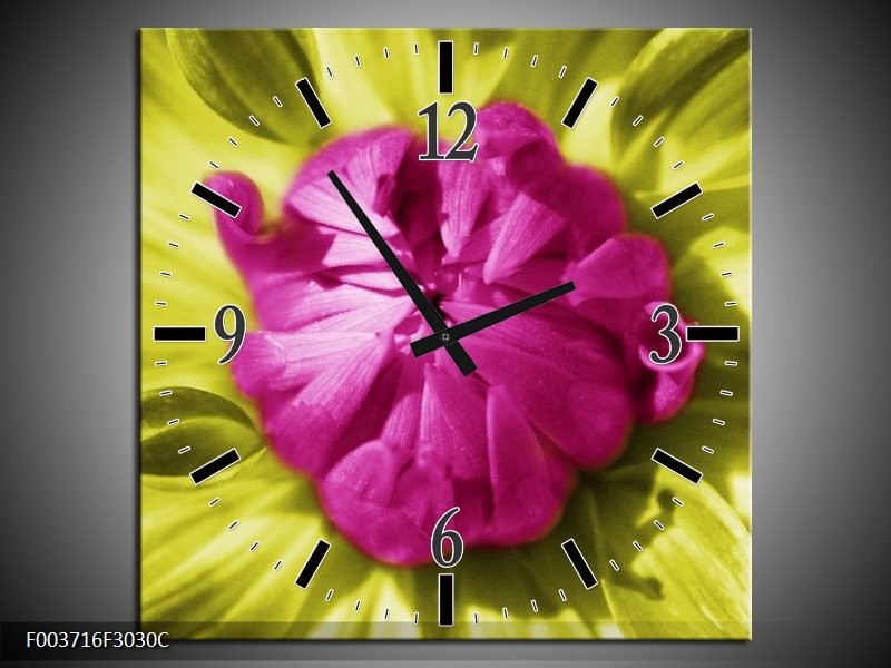 Wandklok op Canvas Macro | Kleur: Roze, Groen, Wit | F003716C