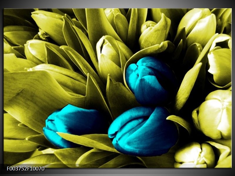 Glas schilderij Tulp | Blauw, Zwart, Groen