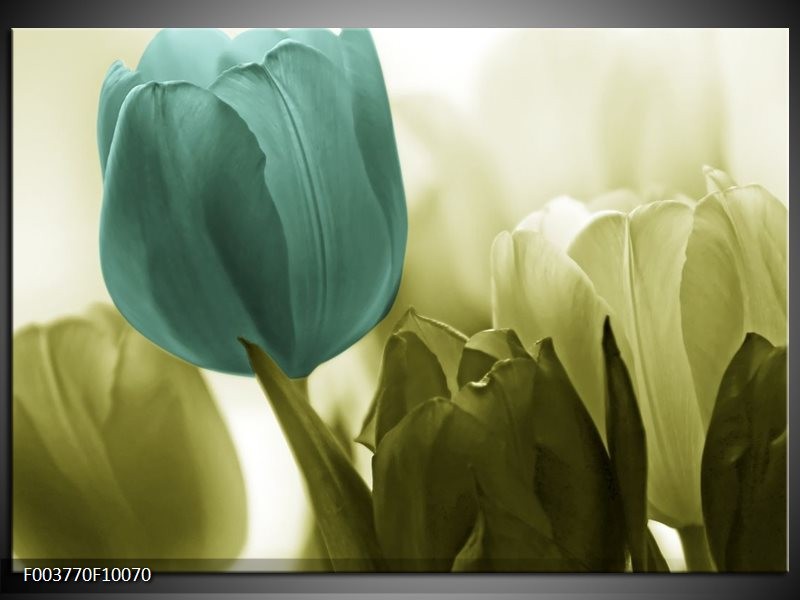 Foto canvas schilderij Tulp | Blauw, Zwart, Groen