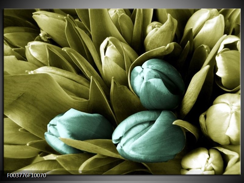 Foto canvas schilderij Tulp | Blauw, Zwart, Groen