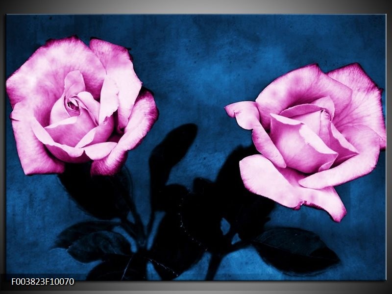 Foto canvas schilderij Roos | Roze, Blauw, Zwart