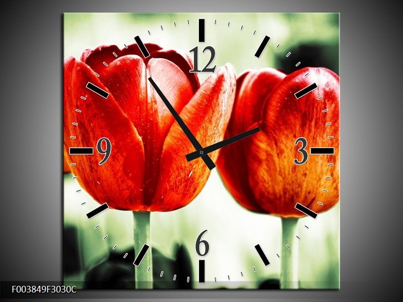 Wandklok op Canvas Tulp | Kleur: Rood, Groen, Wit | F003849C