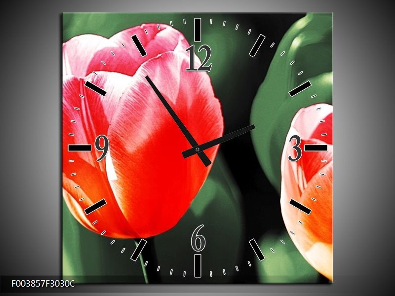 Wandklok op Canvas Tulp | Kleur: Rood, Groen, Wit | F003857C