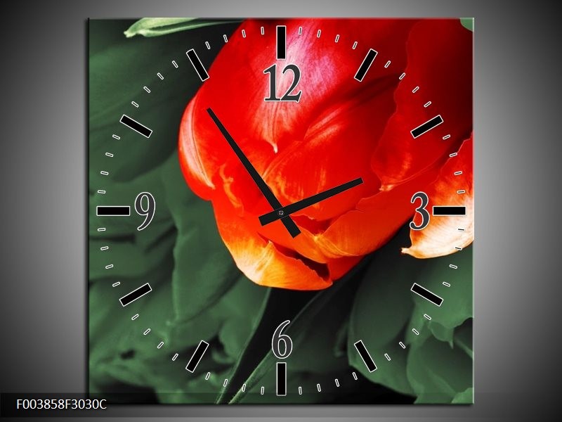 Wandklok op Canvas Tulp | Kleur: Rood, Groen, Wit | F003858C