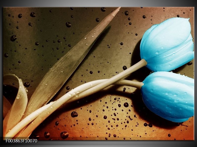 Glas schilderij Tulp | Blauw, Wit, Bruin