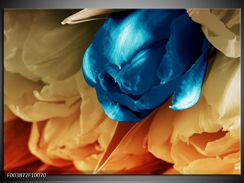 Foto canvas schilderij Tulp | Blauw, Grijs