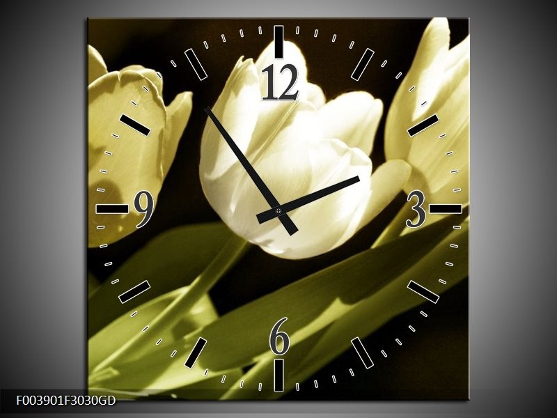 Wandklok op Glas Tulp | Kleur: Groen, Grijs | F003901CGD