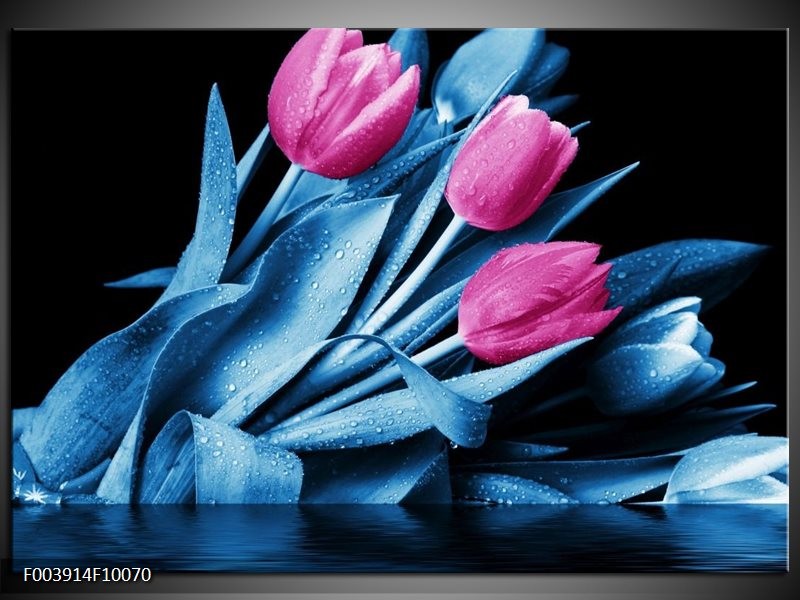 Foto canvas schilderij Tulp | Paars, Blauw, Zwart