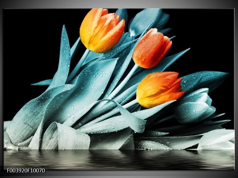 Foto canvas schilderij Tulp | Oranje, Blauw, Zwart