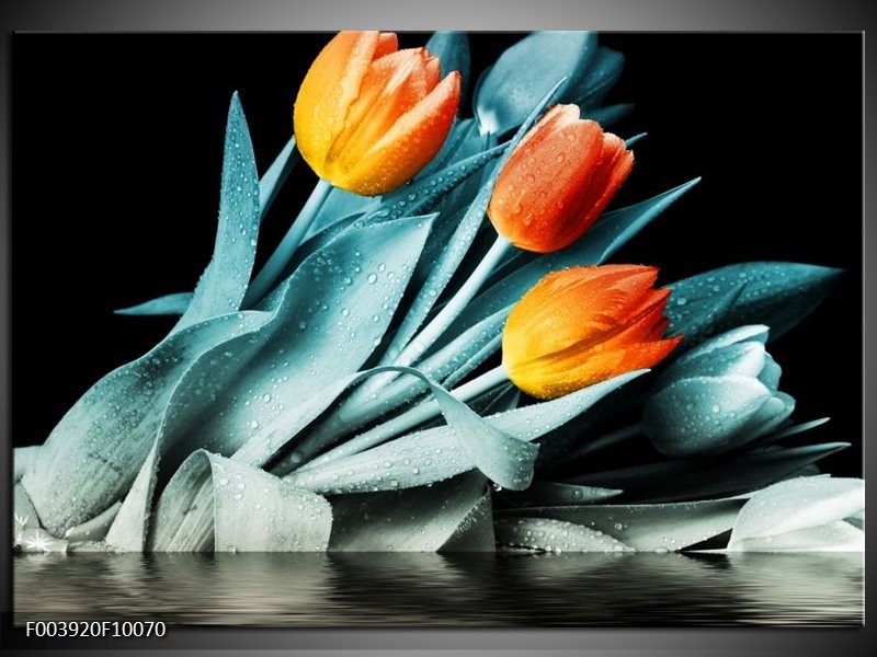 Glas schilderij Tulp | Oranje, Blauw, Zwart