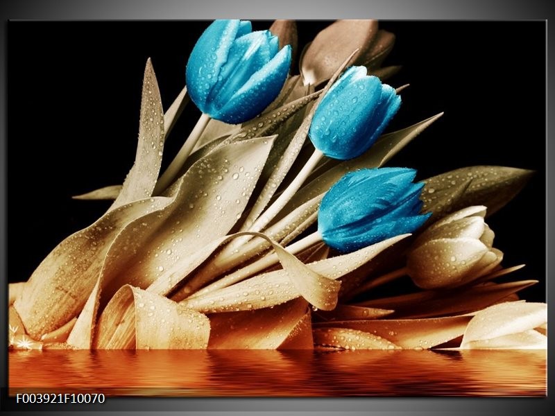 Glas schilderij Tulp | Blauw, Zwart, Bruin