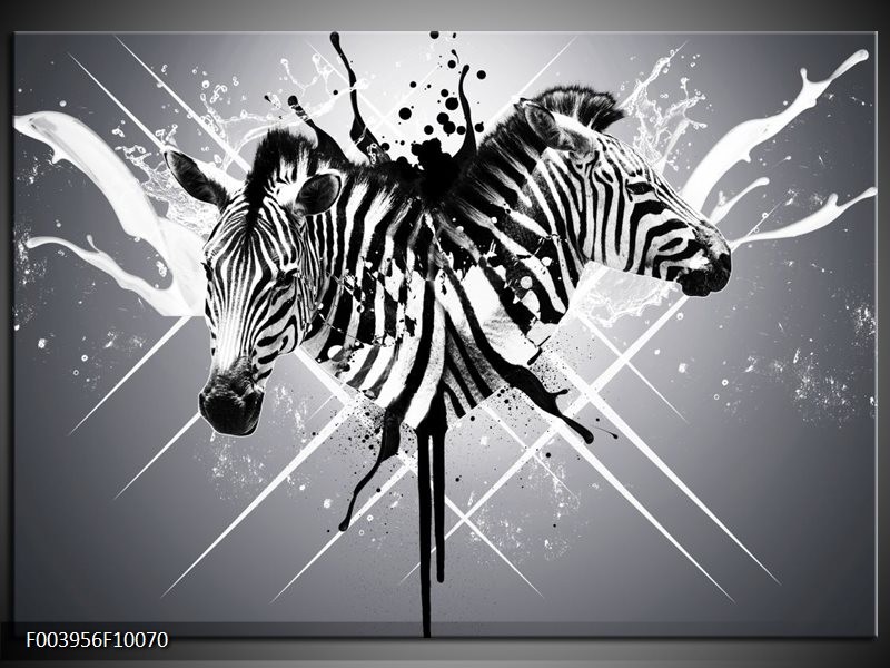 Foto canvas schilderij Zebra | Zwart, Wit, Grijs