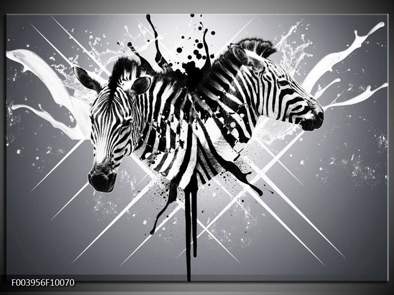 Glas schilderij Zebra | Zwart, Wit, Grijs