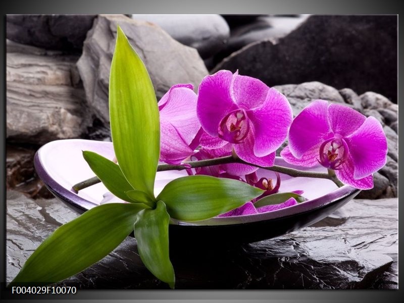 Glas schilderij Orchidee | Zwart, Roze, Grijs