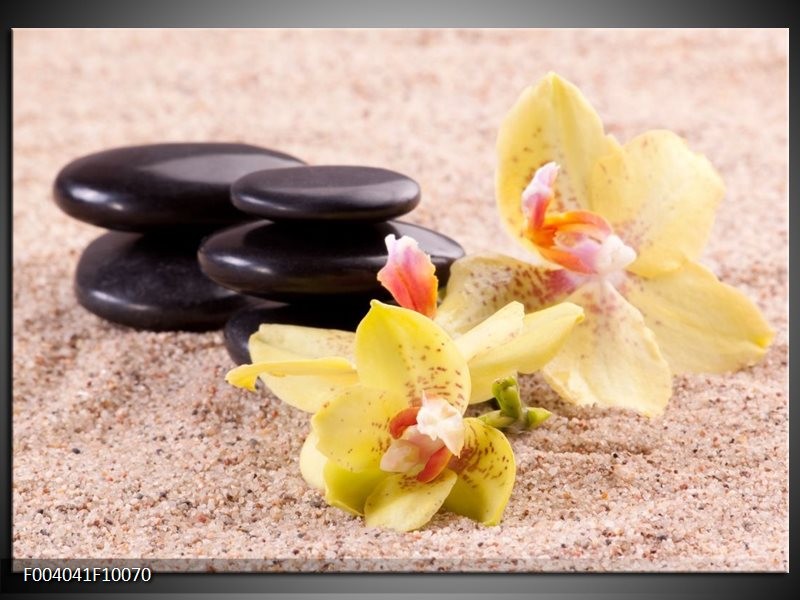 Glas schilderij Orchidee | Geel, Zwart, Wit