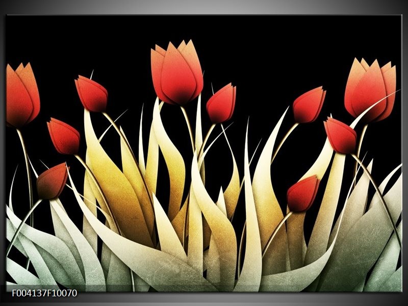 Foto canvas schilderij Tulp | Rood, Zwart, Wit