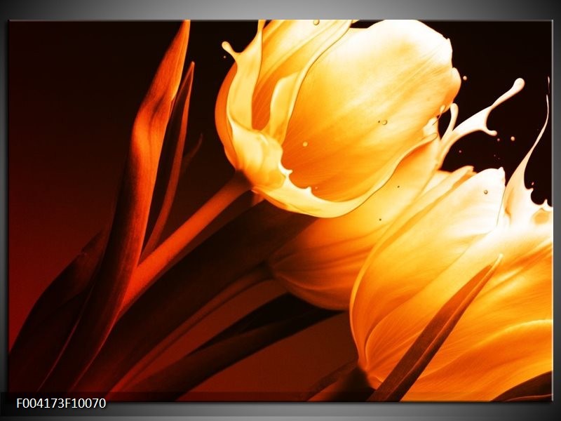 Foto canvas schilderij Tulp | Geel, Oranje, Bruin