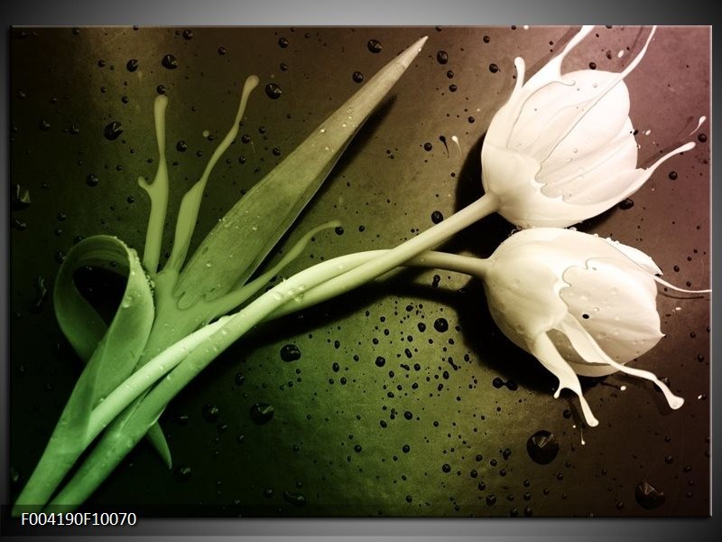 Foto canvas schilderij Tulp | Groen, Wit