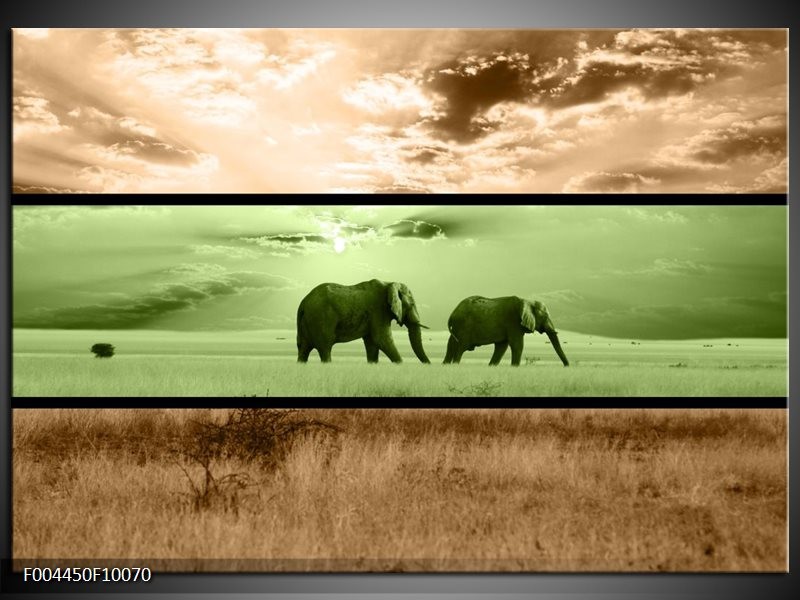 Foto canvas schilderij Olifant | Groen, Bruin