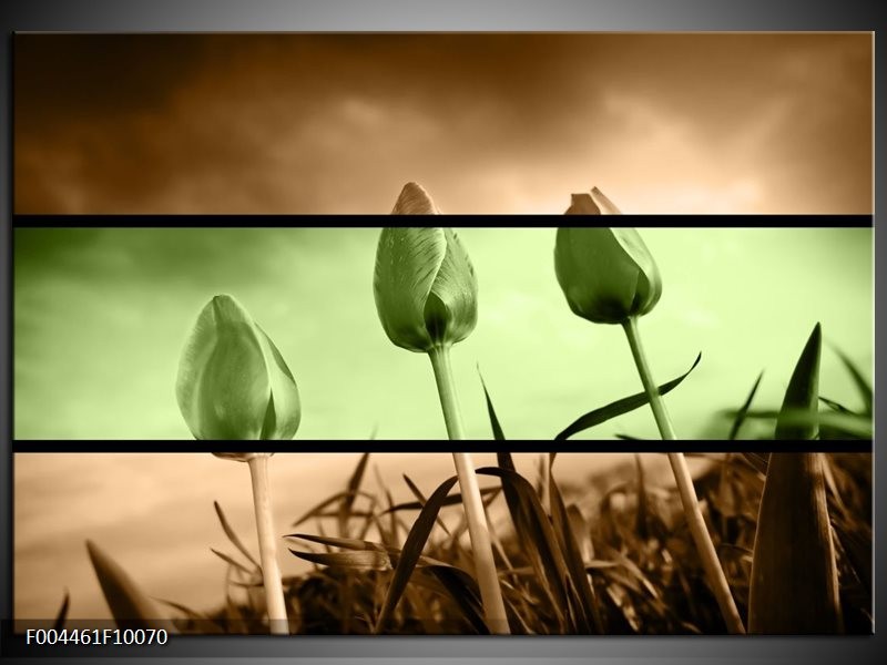 Foto canvas schilderij Tulp | Groen, Bruin