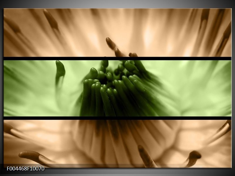 Foto canvas schilderij Bloem | Groen, Bruin, Zwart