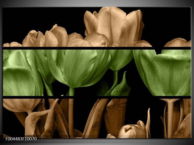 Glas schilderij Tulp | Groen, Bruin, Zwart