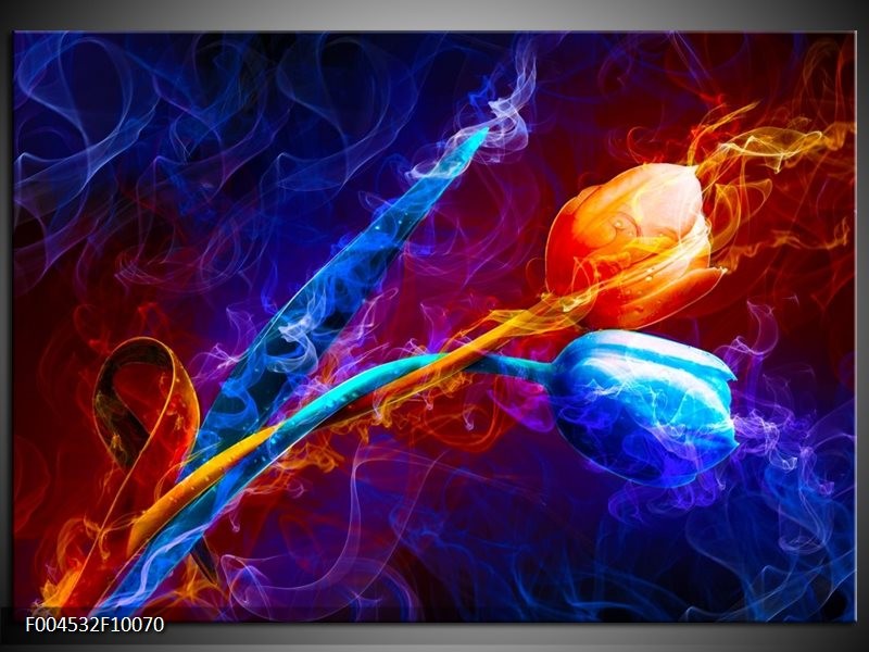 Foto canvas schilderij Tulp | Blauw, Rood, Oranje