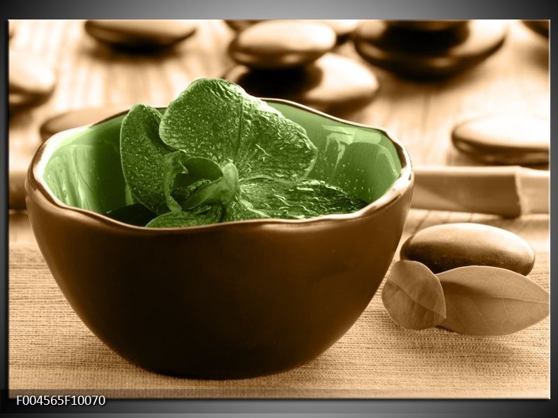 Foto canvas schilderij Orchidee | Groen, Bruin