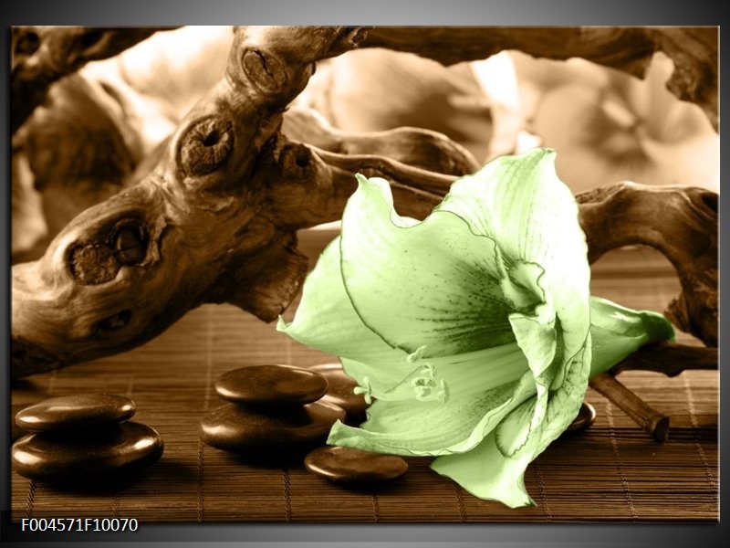 Glas schilderij Orchidee | Groen, Bruin