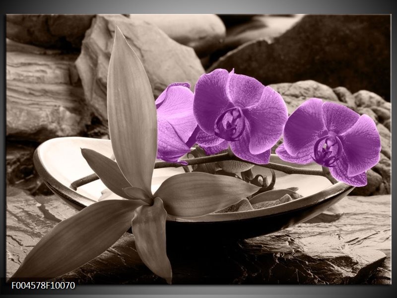 Glas schilderij Orchidee | Paars, Grijs